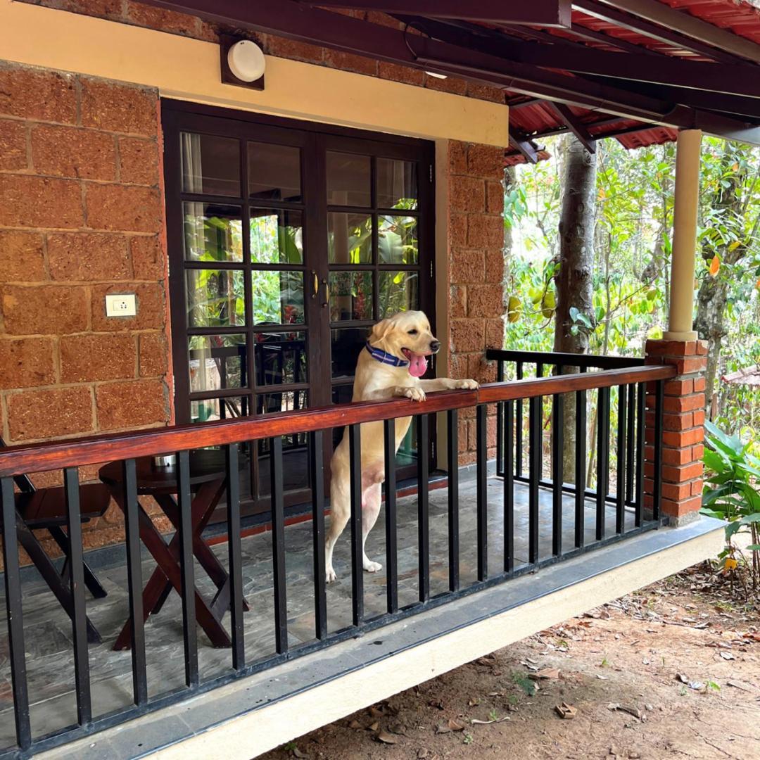 Raindrops Resorts Wayanad Салтэн-Батери Экстерьер фото