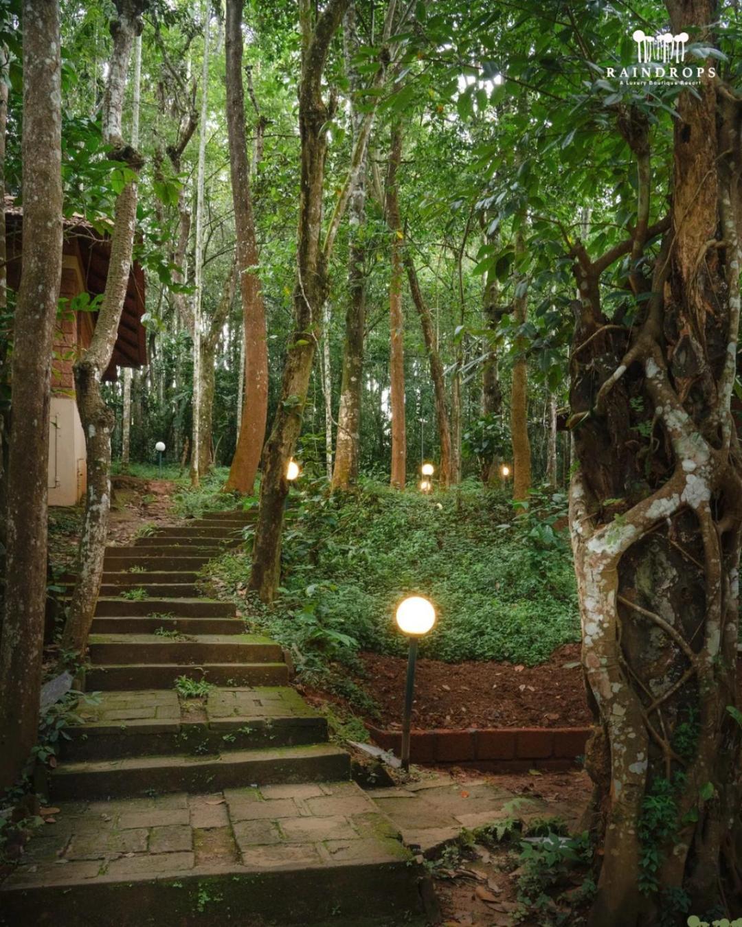 Raindrops Resorts Wayanad Салтэн-Батери Экстерьер фото